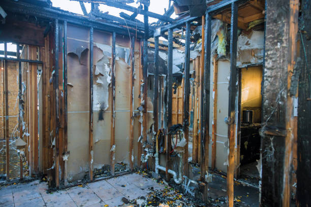 Professional Fire Board Up technician working in Dunedin, FL