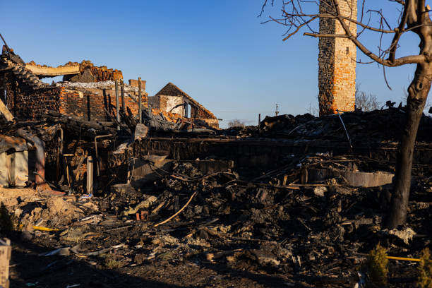 Reliable Fire Board Up contractor in Dunedin, FL by Fire Damage Flint