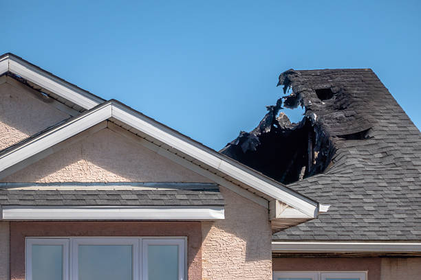 Top rated local Fire Board Up specialists in Dunedin, FL